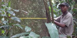 No time to waste: Tropical forests become source of global warming – New article by Terry Sunderland