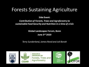 Forests Sustaining Agriculture: Terry Sunderland talks at Global Landscape Forum, Bonn, 2020