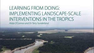 Learning from doing: Implementing landscape-scale interventions in the tropics- New article by Alida O’Connor and Terry Sunderland