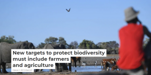 New targets to protect biodiversity must include farmers and agriculture: new article co-authored by Terry Sunderland