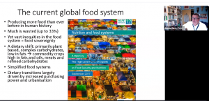 Terry Sunderland speaks at a pre-summit of the UN Food Systems Summit on ‘Tomorrow’s food systems need forests and trees’