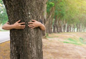 New article by Joli Rumi Borah and Terry Sunderland on ‘How do forests and trees sustain agriculture?’