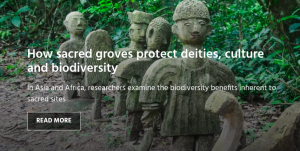 New article on “How sacred groves protect deities, culture and biodiversity” featuring Sam